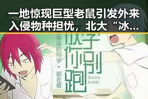 一地惊现巨型老鼠引发外来入侵物种担忧，北大“冰雹换玛瑙”最新进展登上Nature封面