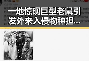 一地惊现巨型老鼠引发外来入侵物种担忧，北大“冰雹换玛瑙”最新进展登上Nature封面