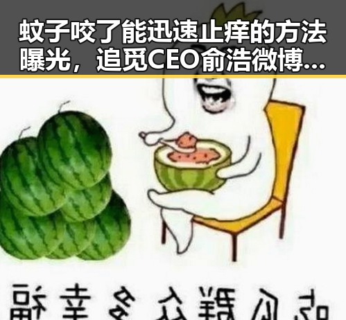 蚊子咬了能迅速止痒的方法曝光，追觅CEO俞浩微博因违反相关法律法规被禁言引发热议