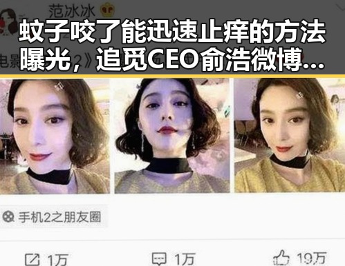 蚊子咬了能迅速止痒的方法曝光，追觅CEO俞浩微博因违反相关法律法规被禁言引发热议